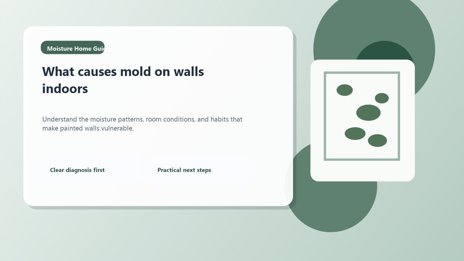 What causes mold on walls from humidity, condensation, and poor airflow